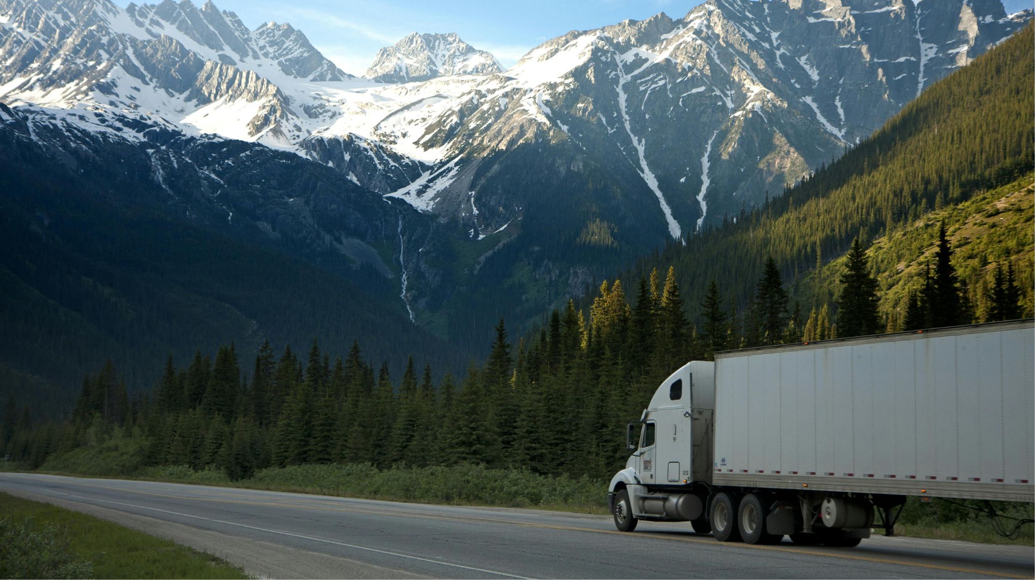 Track Co2 emissions TMS